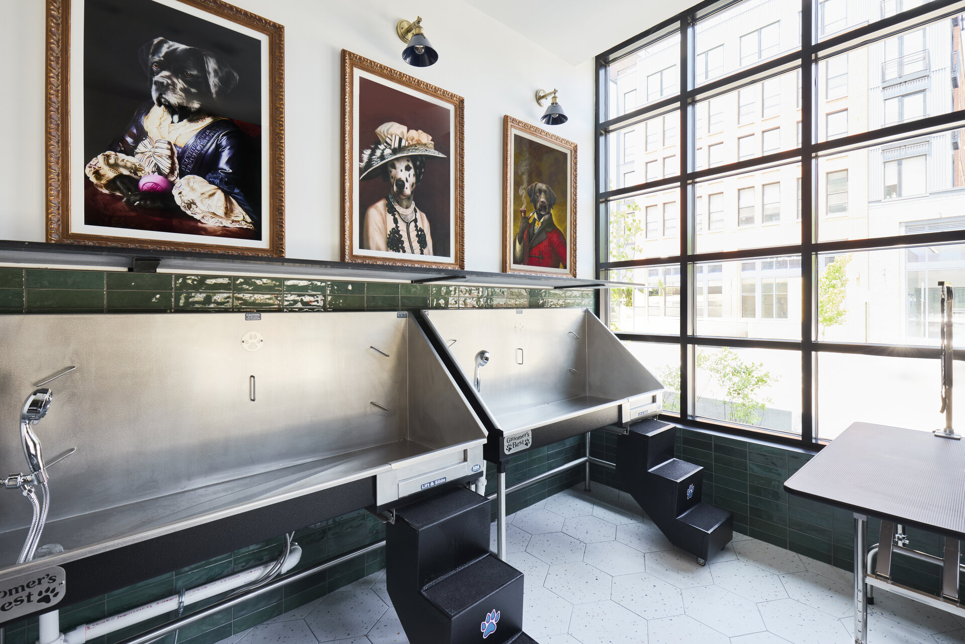 Reynard-Luxury-Pet-spa-in-Washington-D.C.-Metro